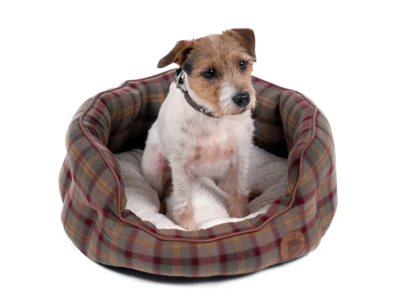 Petface Country Check Oval Bed in Small-2